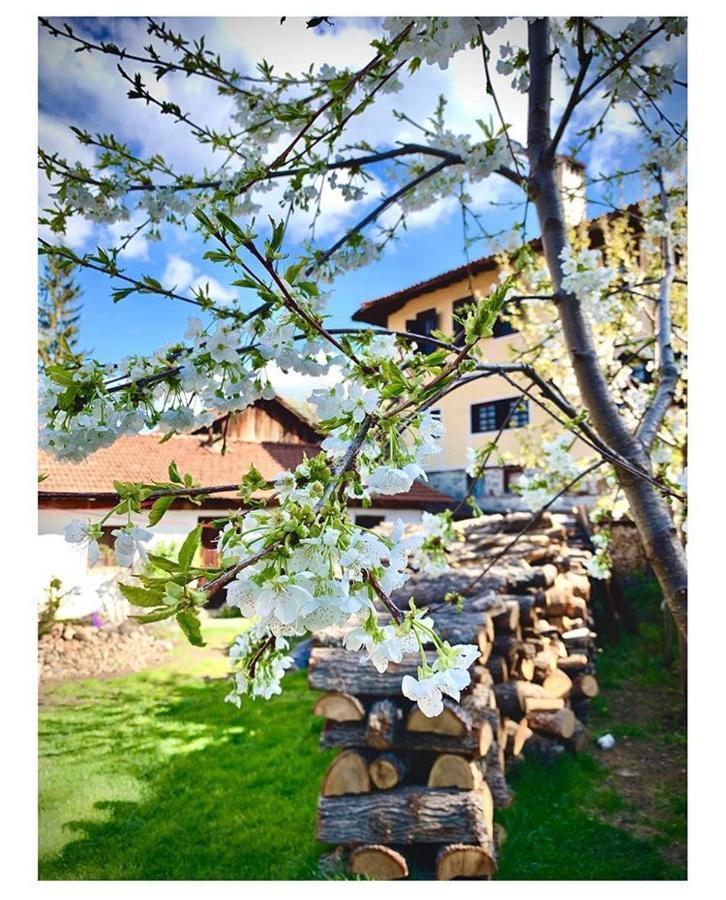 Bobi Guest House Koprivștița Exterior foto